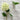 Fresh Touch Hydrangea Spray | White Green - The Lemonade Stand