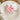 Flower Petal Hair Claw Clip | Cherry