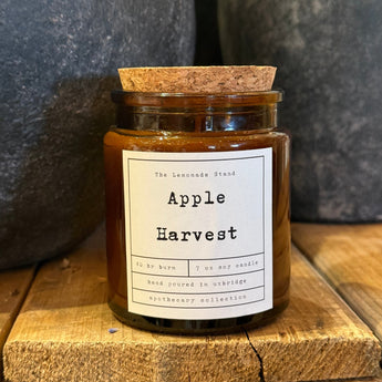TLS Apothecary Soy Candle | Apple Harvest