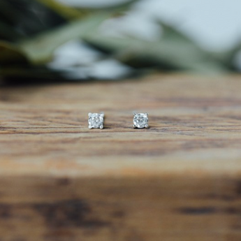 Shimmer Stud Earrings