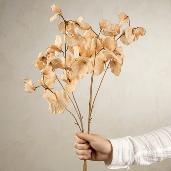 Sweet Pea Floral Stem