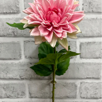 Fresh Touch Dahlia Spray