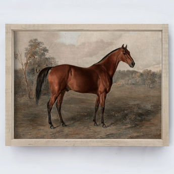 Vintage Horse Print