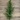 36" Norfolk Pine Spray
