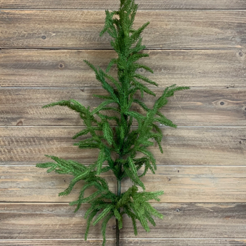 36" Norfolk Pine Spray