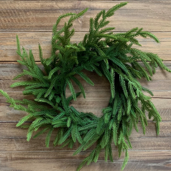 20" Norfolk Pine Wreath