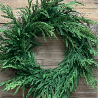30" Norfolk Pine Wreath