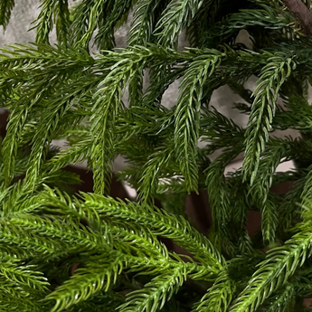 30" Norfolk Pine Wreath