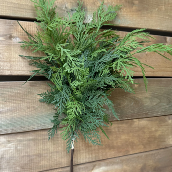 28" Fresh Touch Cedar Bundle