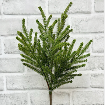 18.5" Princess Pine Spray