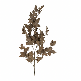 Maple Leaf Branch