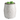 Willow Fragrance Warmer