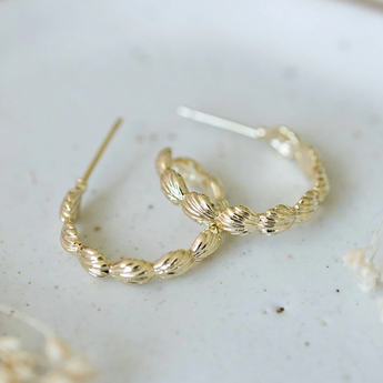 Sienna Shell Hoops