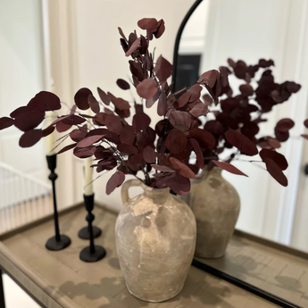 Eucalyptus - Purple Silver Dollar