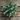 15" Ruscus Leaves Bush