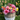 Round White and Gray Kubu Rattan Planter