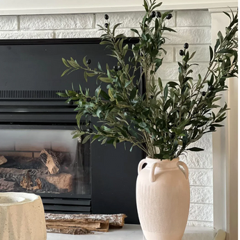 Olive Branch