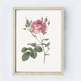 Rose Flower Drawing Wooden Sign