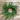 22" Fresh Touch Sequoia Cypress Wreath