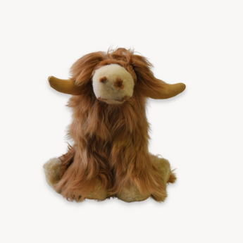 Highland Cow