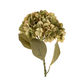 Faded Hydrangea Stem - Green