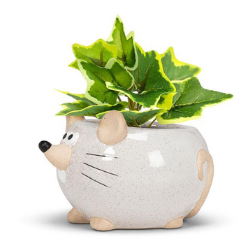 Small Mouse Planter