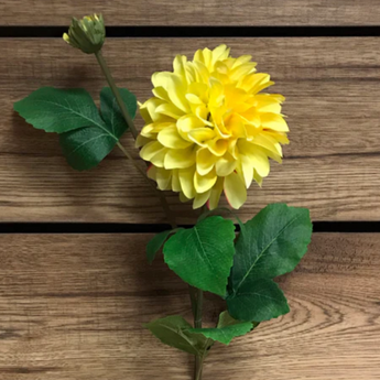 Yellow Dahlia Spray