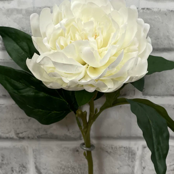 Fresh Touch Peony Stem