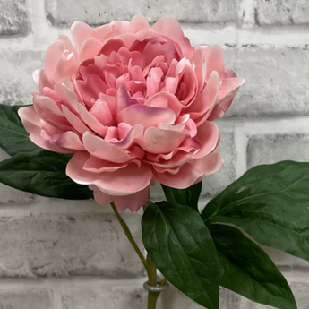 Fresh Touch Peony Stem