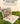 Botanical Collage Activity Book - The Lemonade Stand