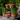 Two Tiered Stand With 9 Pots - The Lemonade Stand