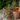 Wire Stand With 6 Pots - The Lemonade Stand