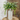 Beige Heirloom Handle Vase - The Lemonade Stand