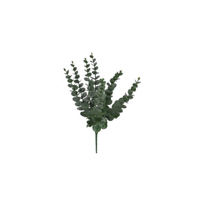 Green Eucalyptus Picks