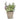 Small Lavender Pot