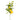 Lemon Blossom Spray - The Lemonade Stand