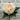 Fresh Touch Blush Peony | 23" - The Lemonade Stand