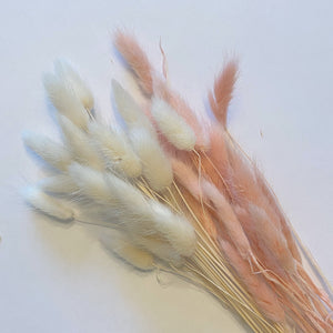 Bunny Tails